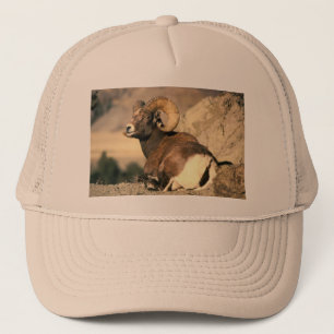 Bighorn Ram Truckerkeps