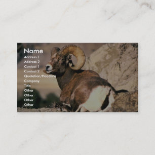 Bighorn rammar visitkort