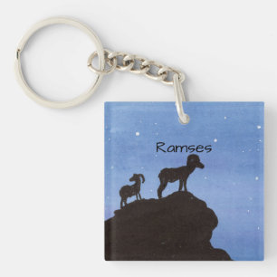 Bighorn Sheep
