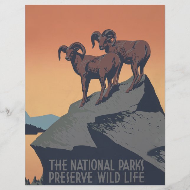 Bighorn Sheep American Väster Wildlife (Framsida)