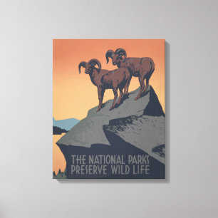 Bighorn Sheep American Väster Wildlife Canvastryck