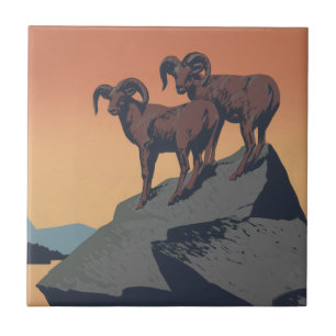 Bighorn Sheep American Väster Wildlife Kakelplatta