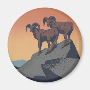 Bighorn Sheep American Väster Wildlife Magnet