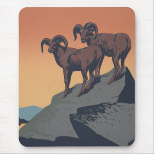 Bighorn Sheep American Väster Wildlife Musmatta