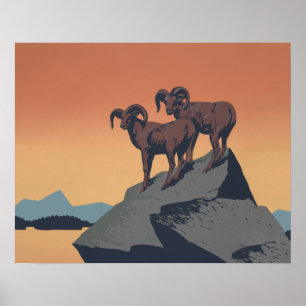 Bighorn Sheep American Väster Wildlife Poster