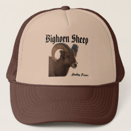 Bighorn Sheep Hat Keps