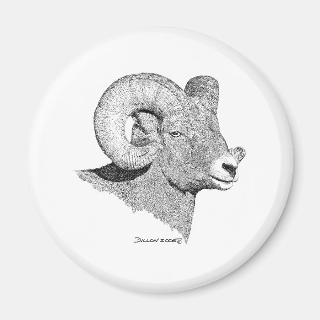 Bighorn Sheep Magnet (Framsidan)