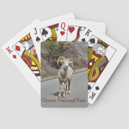 Bighorn Sheep Photo Casinokort