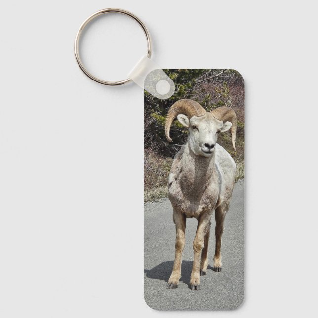 Bighorn Sheep Photographic Keychain Nyckelring (Framsida)