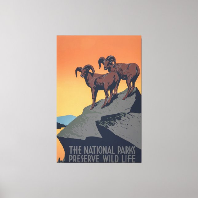 Bighorn Sheep Sunset Poster Canvastryck (Framsida)