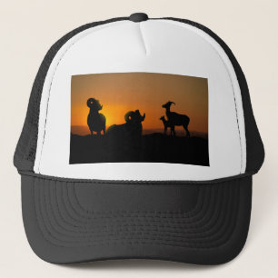 Bighorn Sheep Truckerkeps