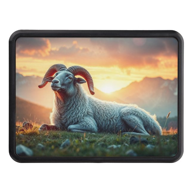 Bighorn Sheep vid Sunrise Dragkroksskydd (Framsidan)