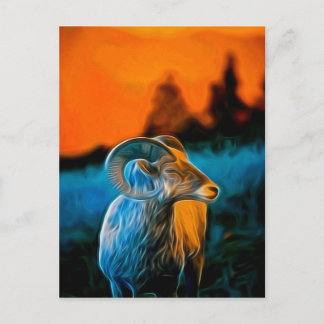 Bighorn vid sunset vykort