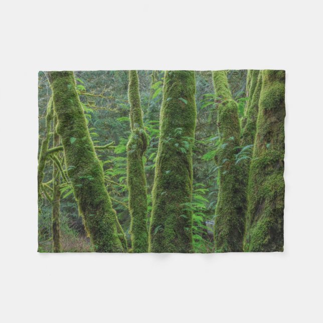 Bigleaf Maple Träd & Ferns | Washington Fleecefilt (Framsidan (Horisontell))