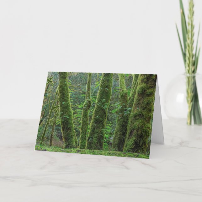 Bigleaf Maple Träd & Ferns | Washington Kort (Framsida)