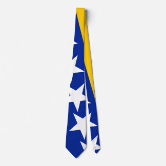 BiH Flag Coaster Slips