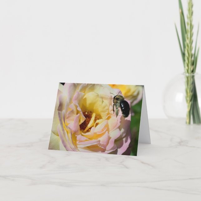 Bih och rosblomfotograferingsnotering kort (Framsida)