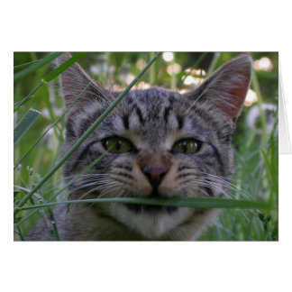 Bijou Grass Hälsningskort