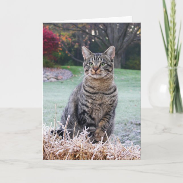 Bijou på sugrör kort (Framsida)