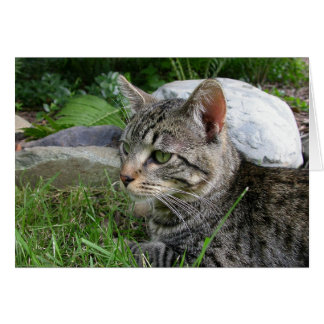 Bijou Stone Hälsningskort