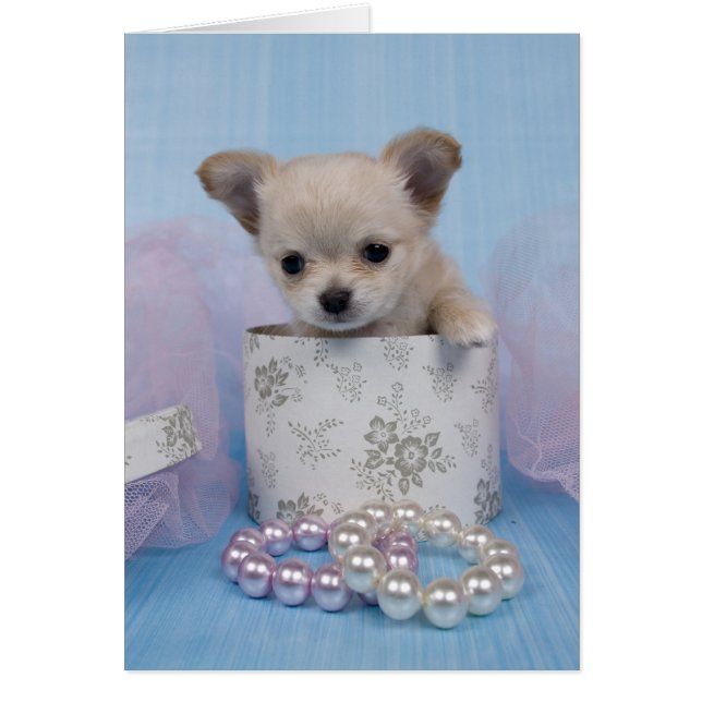 Bijoux Hälsningskort (Framsidan)