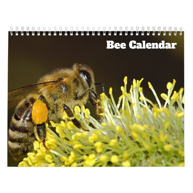 Bikalendar 2027 kalender (Omslag)