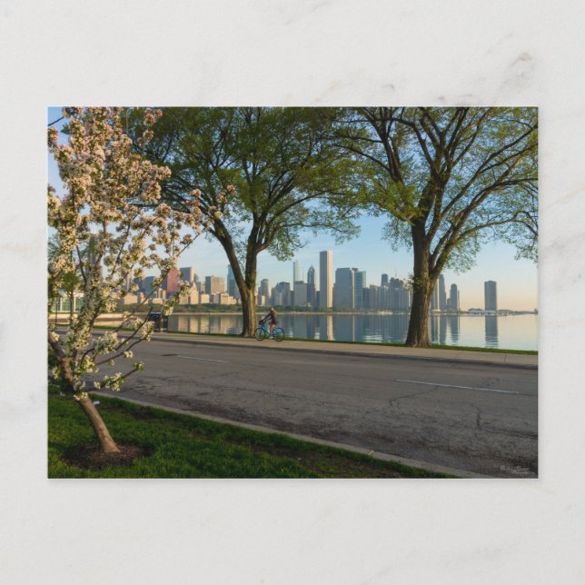 Bike Ride Down Solidarity-vykort Vykort (Framsida)