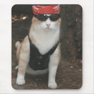 Biker Bubba Musmatta