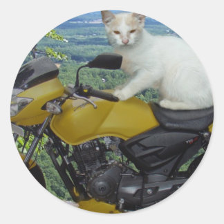 Biker Cat Sticker Runt Klistermärke