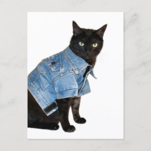 biker kattunge vykort