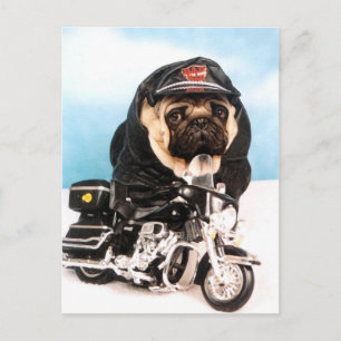 Biker Pug Hund Vykort