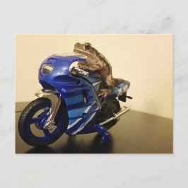 Biker Toad Vykort