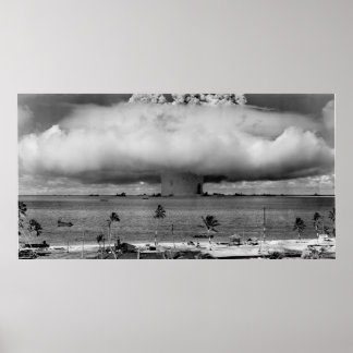 Bikini Afee B/W Poster