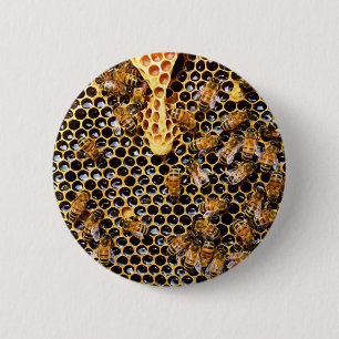 Bikupa med Honeycomb uppåt nära Knapp