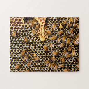 Bikupa med Honeycomb uppåt nära Pussel