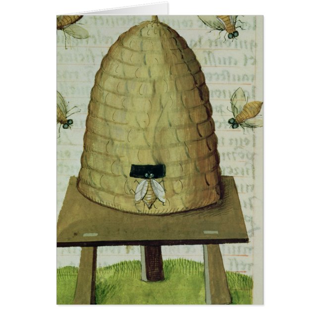 Bikupa och bin hälsningskort (Framsidan)