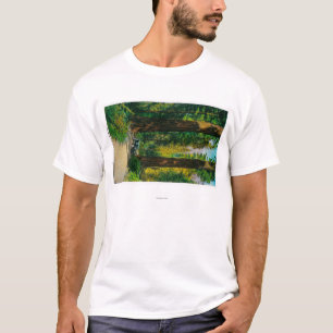 Bila till och med jätte- skog, redwoodträd tee