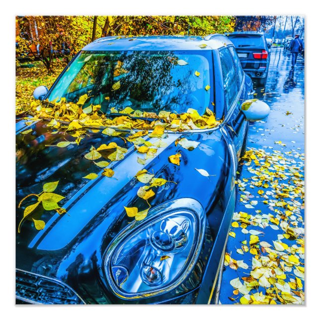 Bilbil, bil - säsong för fallande Löv Fototryck (Framsidan)