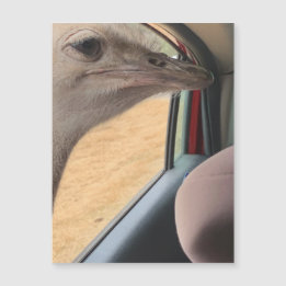 Bilborstmagnet