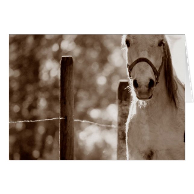 Bild1 OBS Kort (Framsidan Horizontal)