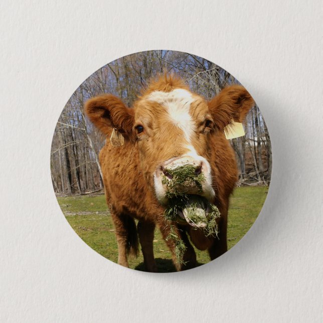 Bild 001 knapp (Framsida)