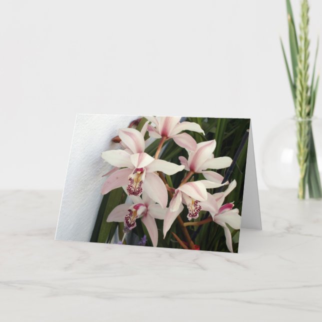 Bild 003 kort (Framsida)