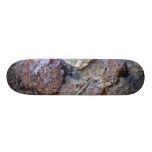 Bild 005 mini skateboard bräda 18,7 cm