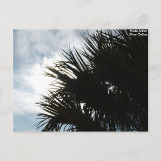 Bild 150, fotoartist: Silver Collins Vykort