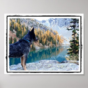 Bild/affisch för beskydd hund- "max" poster