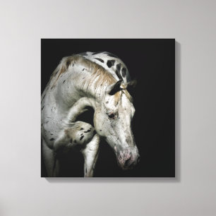 Bild av Appaloosa Horse