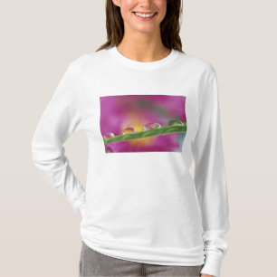 Bild av aster bildad i vattendroppar t-shirt