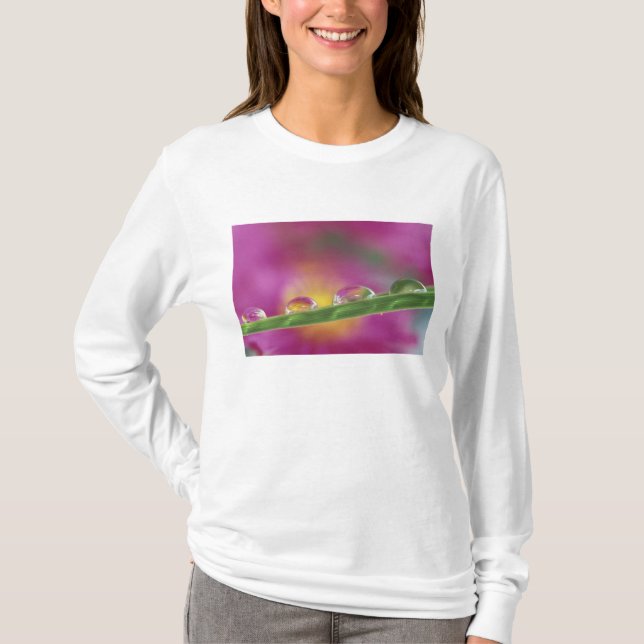 Bild av aster bildad i vattendroppar t-shirt (Framsida)