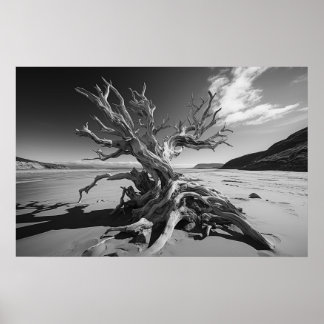 Bild av B&W för träd-trunkträ Poster