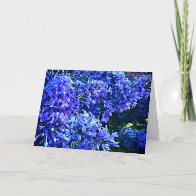 Bild av blått lila lilacus romantic blue blommigt kort (Framsida)